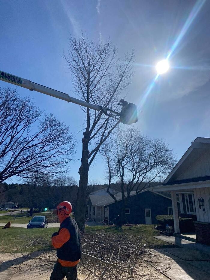 Images Cutting Edge Tree Service LLC