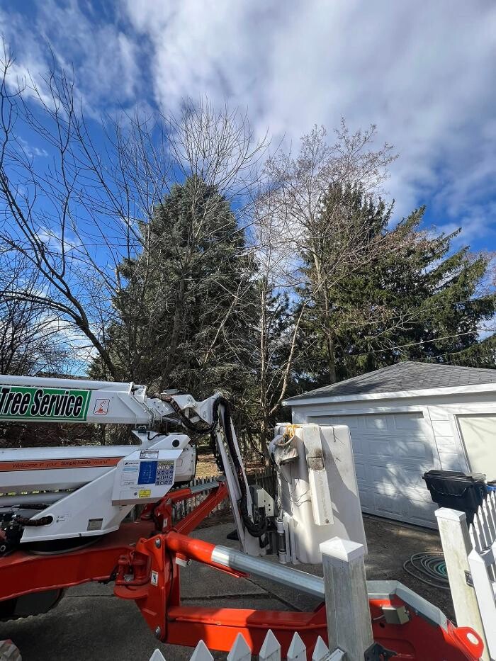 Images Cutting Edge Tree Service LLC