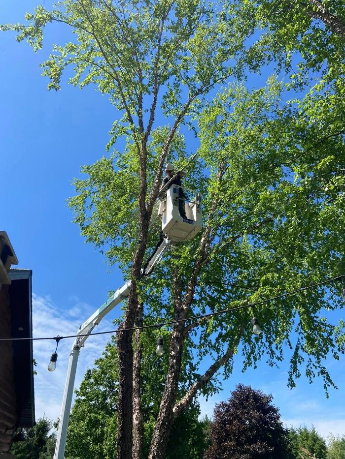 Images Cutting Edge Tree Service LLC