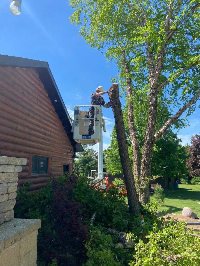 Images Cutting Edge Tree Service LLC