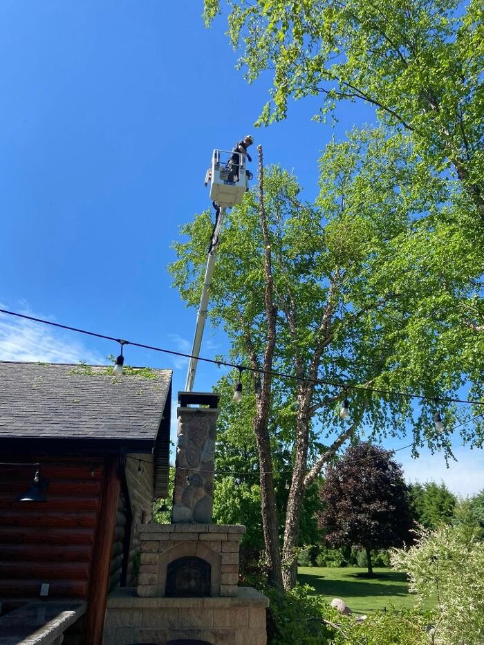 Images Cutting Edge Tree Service LLC