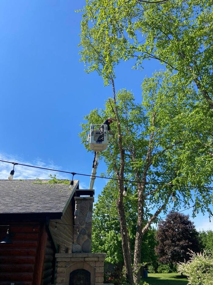 Images Cutting Edge Tree Service LLC