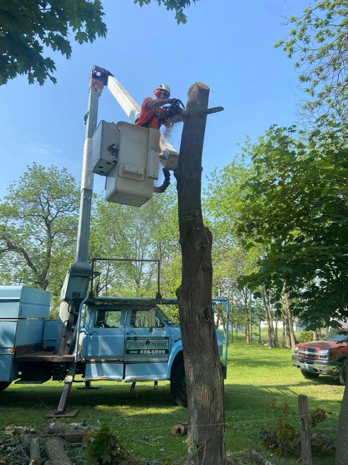 Images Cutting Edge Tree Service LLC