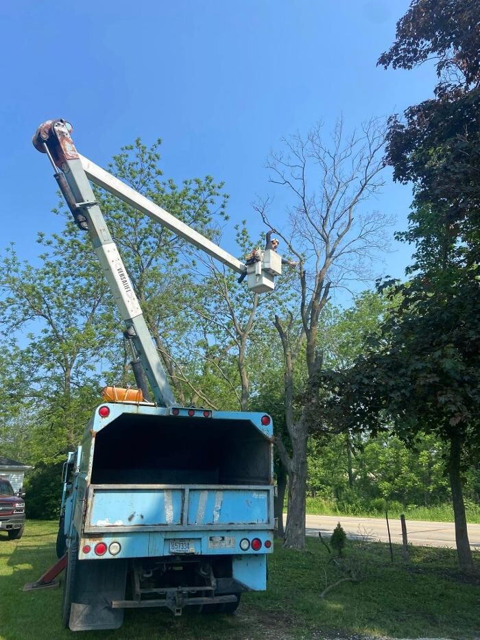 Images Cutting Edge Tree Service LLC
