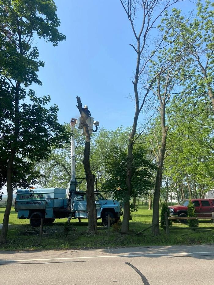 Images Cutting Edge Tree Service LLC