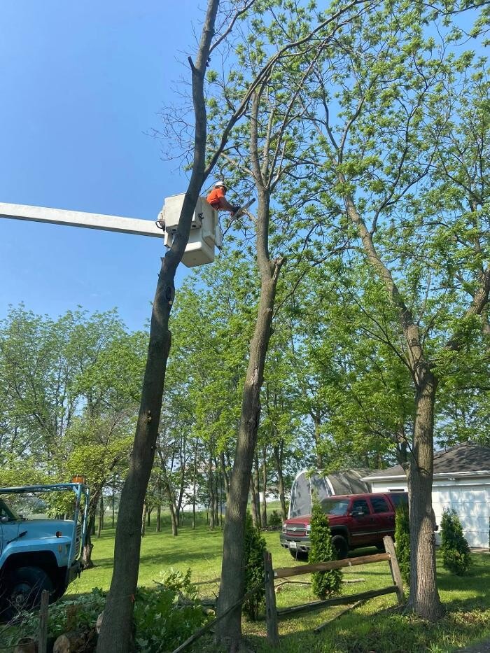 Images Cutting Edge Tree Service LLC