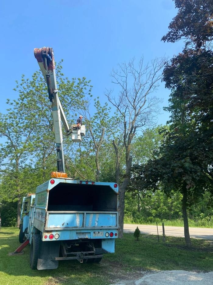 Images Cutting Edge Tree Service LLC