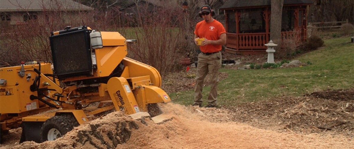 Images Cutting Edge Tree Service LLC