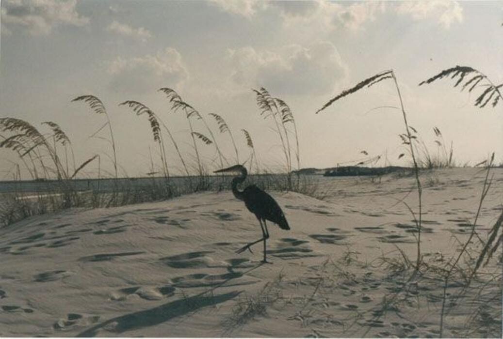Images Crystal Sands - Destin Rentals