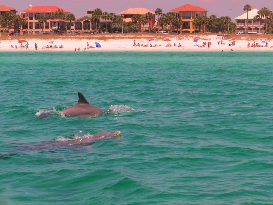 Images Crystal Sands - Destin Rentals
