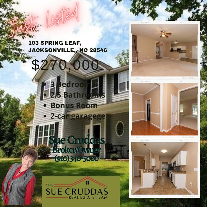 Images Sue Cruddas Real Estate Team