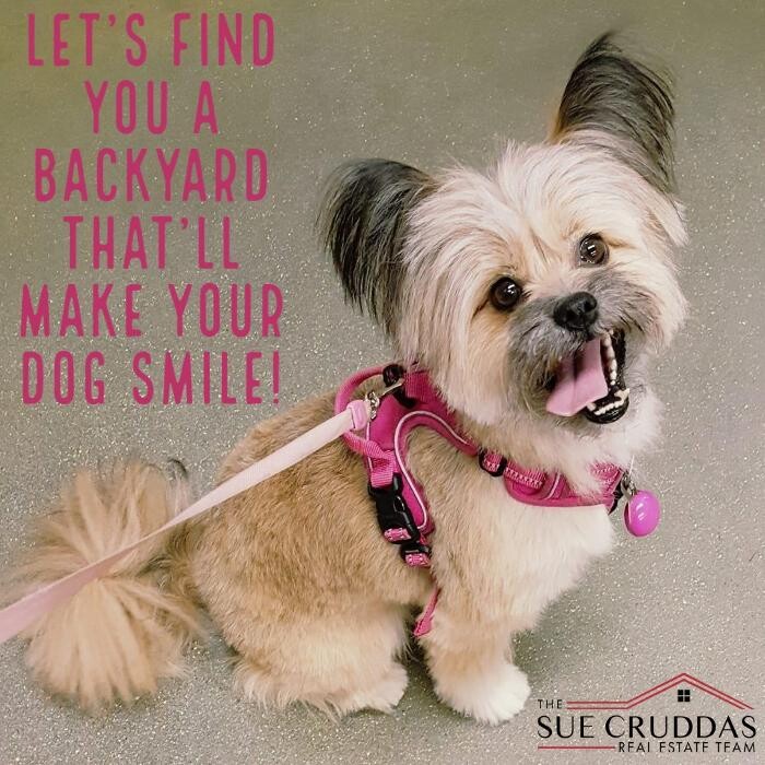 Images Sue Cruddas Real Estate Team