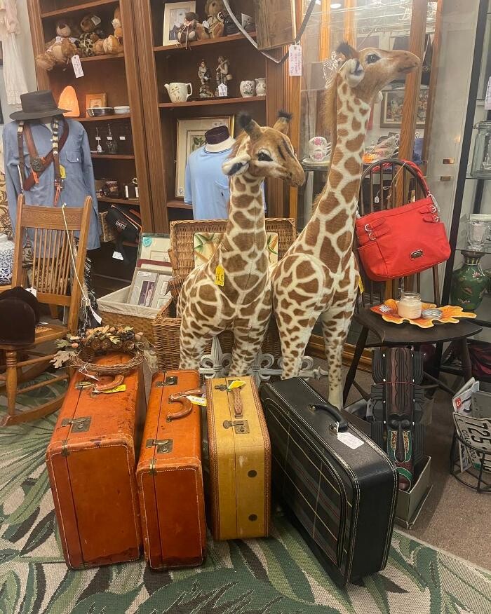 Images Antique Trove