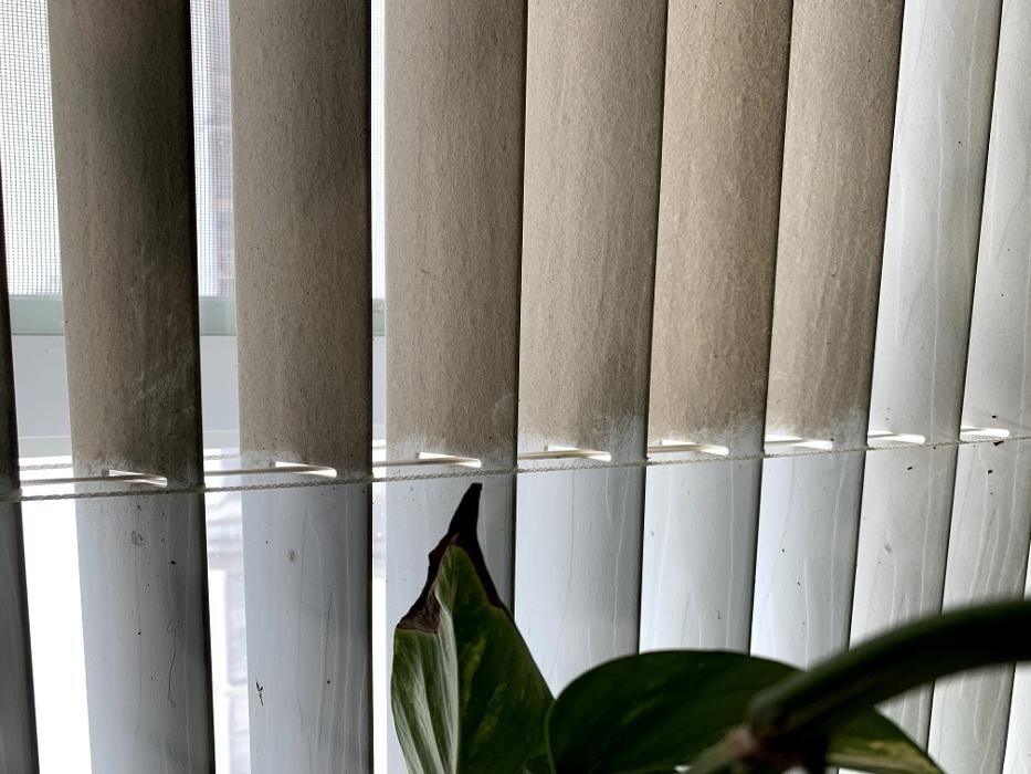 Images Keeping Clean