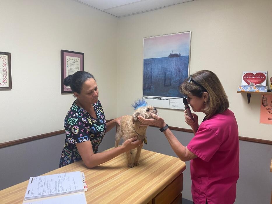 Images Acadiana West Animal Clinic