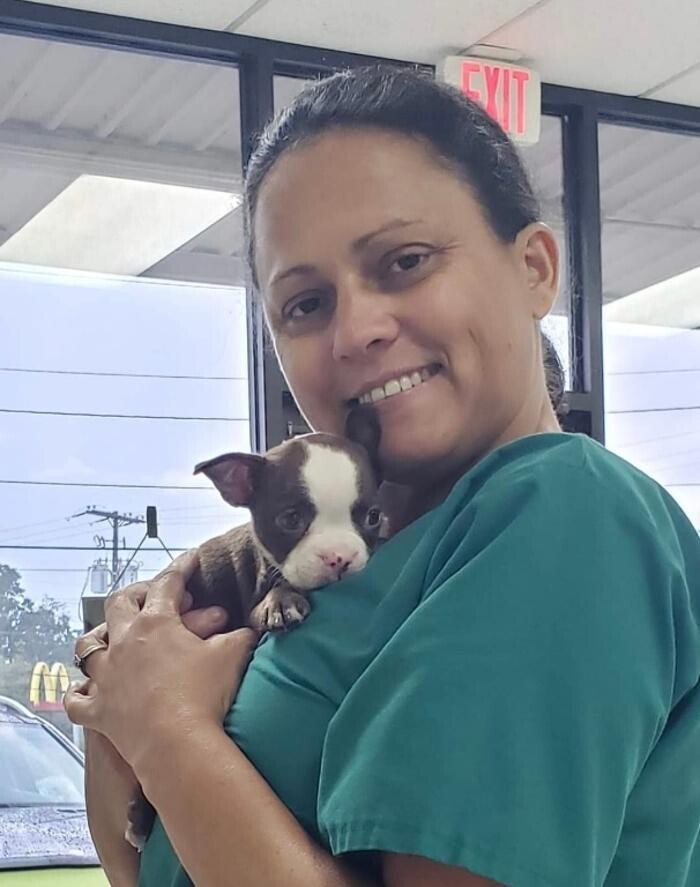 Images Acadiana West Animal Clinic