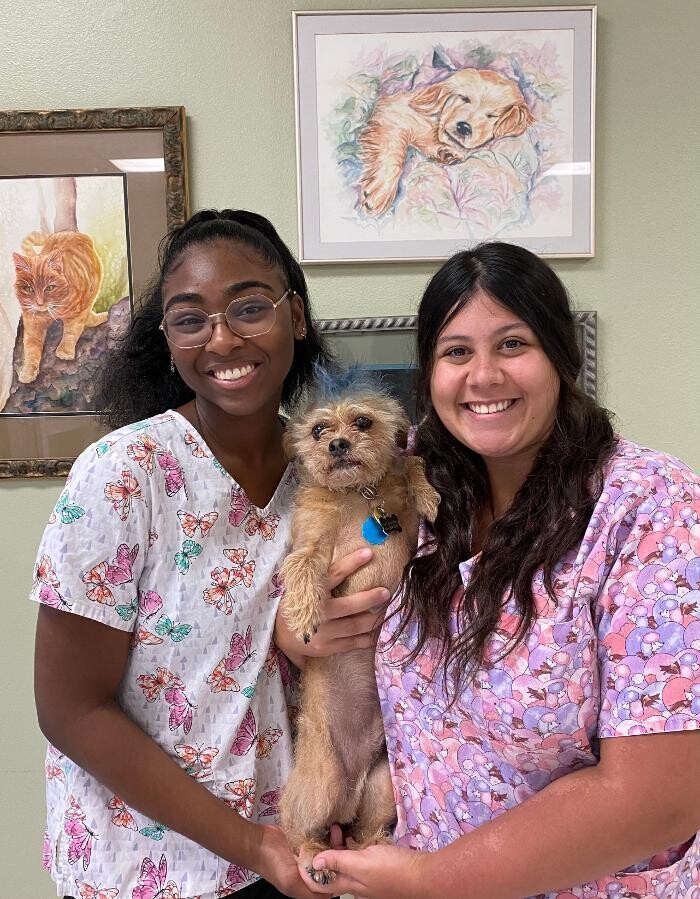 Images Acadiana West Animal Clinic