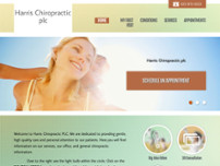 Screenshot for http://adjspine.com