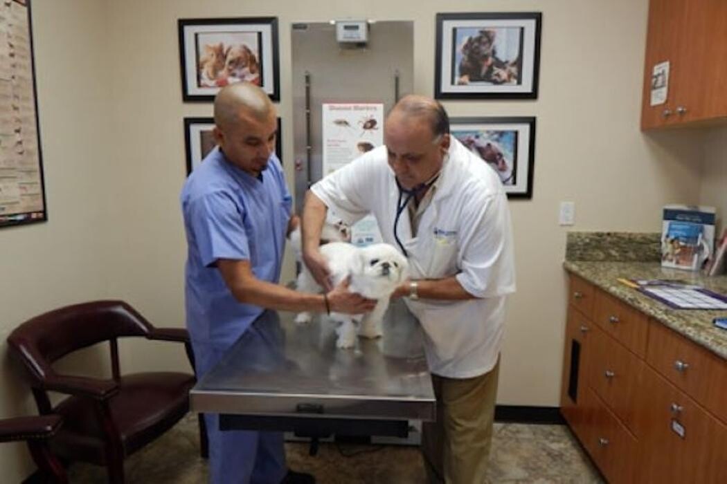 Images Magnolia Animal Hospital