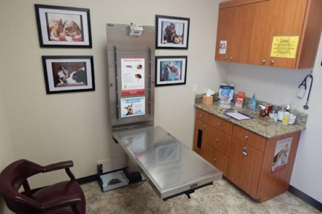 Images Magnolia Animal Hospital