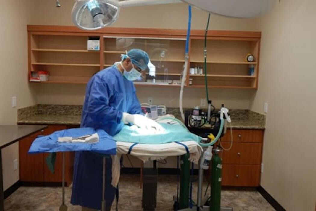 Images Magnolia Animal Hospital