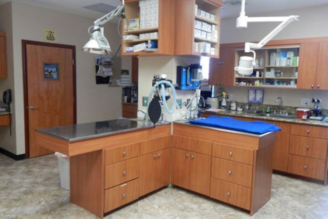 Images Magnolia Animal Hospital