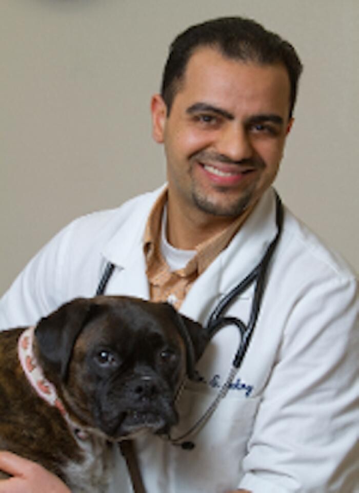 Images Magnolia Animal Hospital
