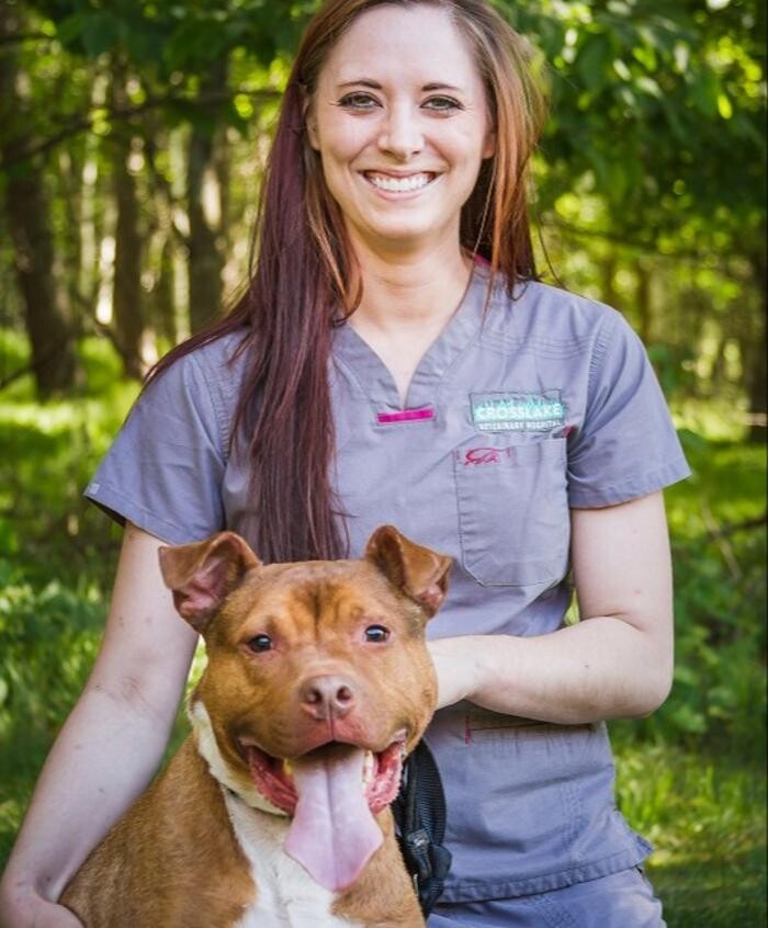 Images Crosslake Veterinary Hospital