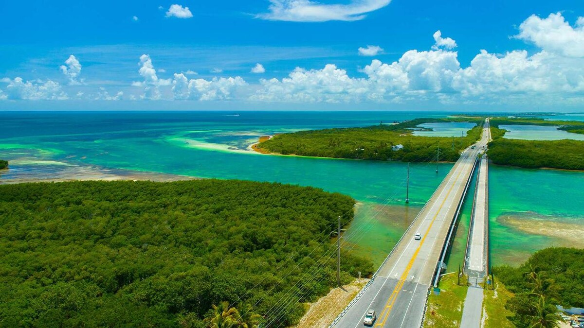 Images Bum Rogers Crabhouse