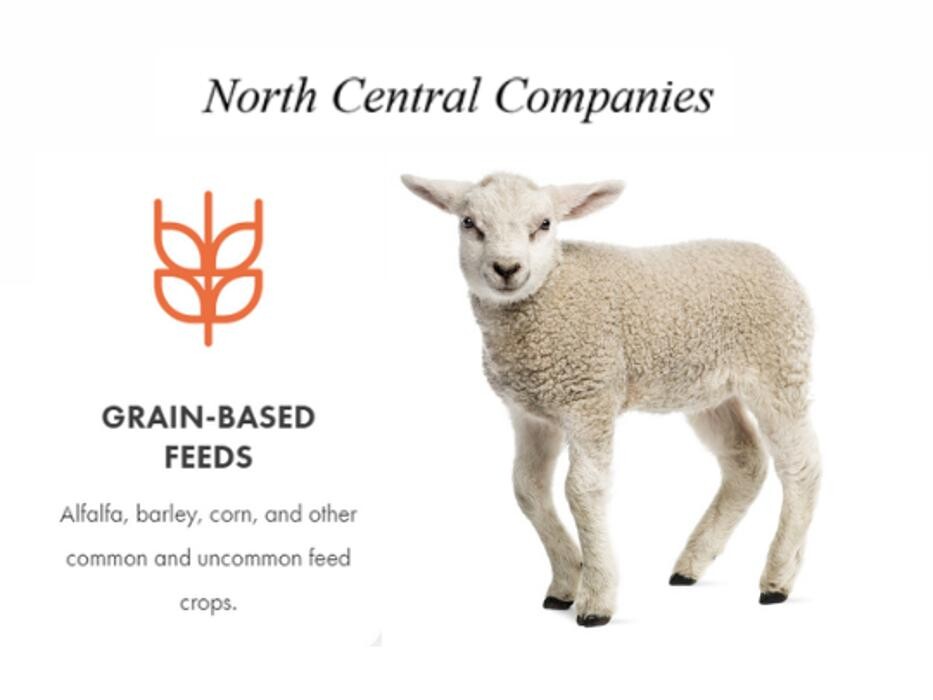 Images North Central Companies