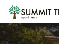 Website Screenshot Summit Trace Apartments