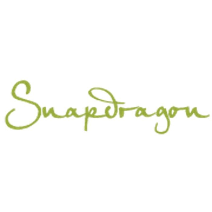 Snapdragon Salon Logo