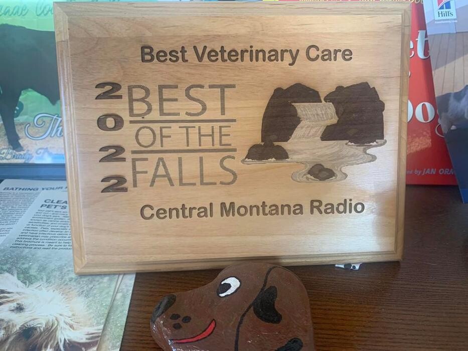 Images Associated Veterinary Services