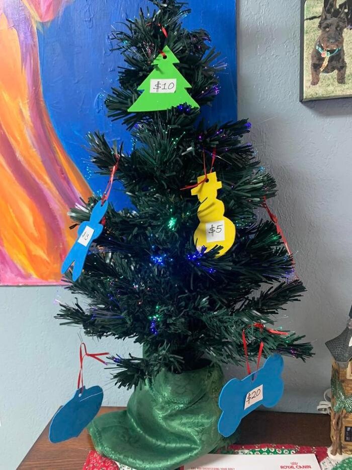 Images Associated Veterinary Services