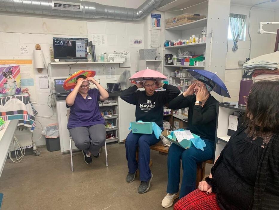 Images Associated Veterinary Services