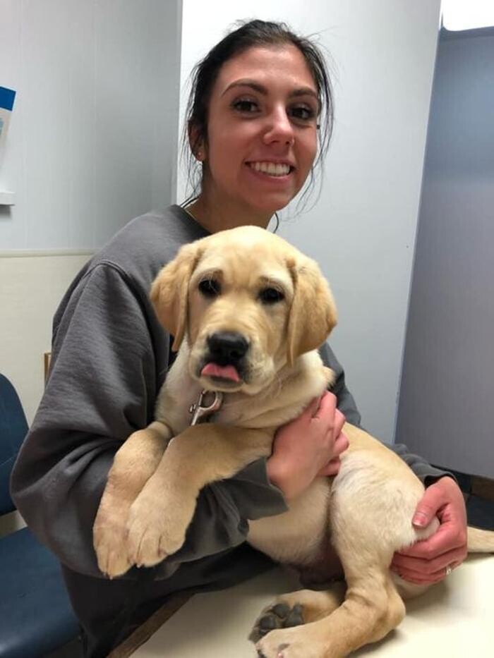 Images Associated Veterinary Services