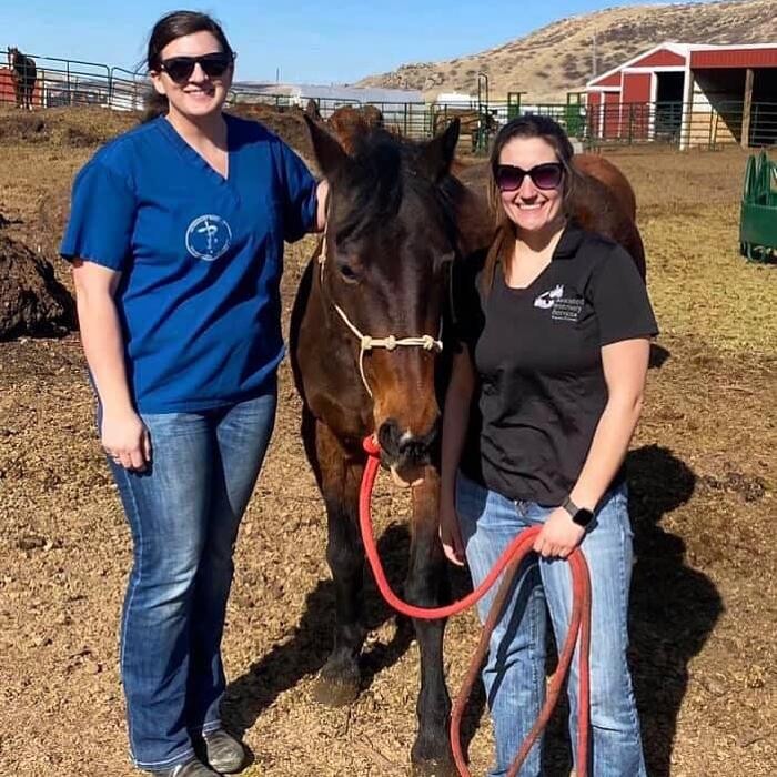 Images Associated Veterinary Services