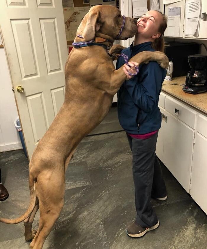 Images Associated Veterinary Services