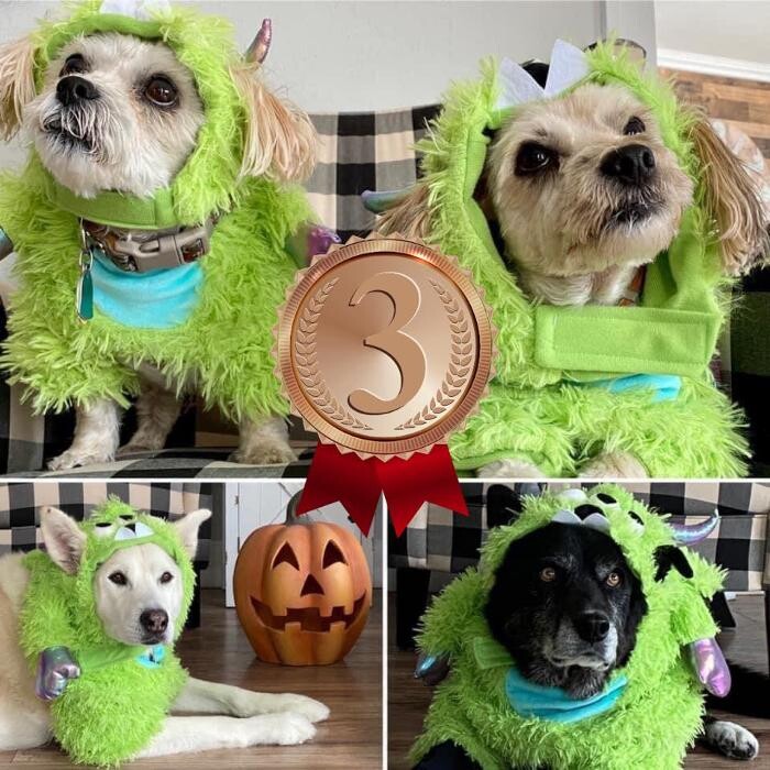 Images Associated Veterinary Services