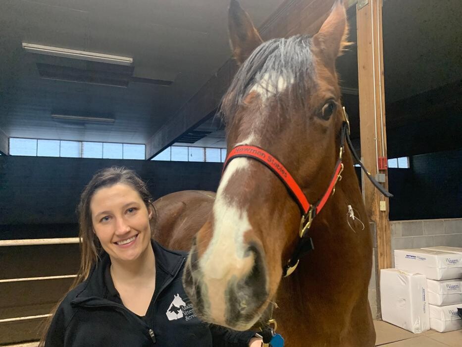 Images Associated Veterinary Services