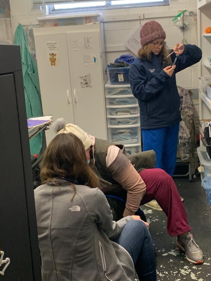 Images Associated Veterinary Services