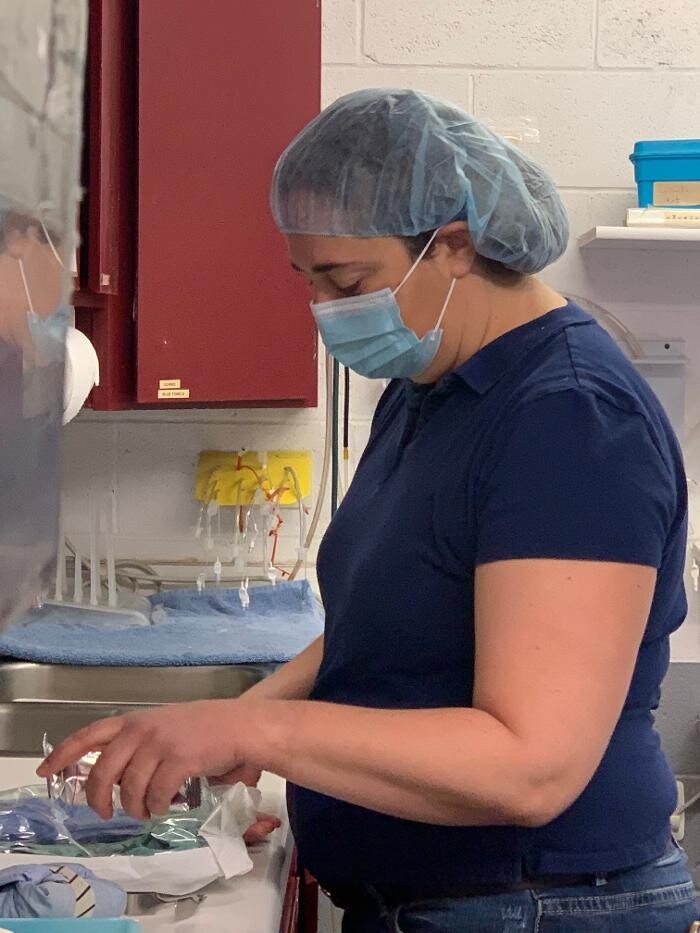 Images Associated Veterinary Services