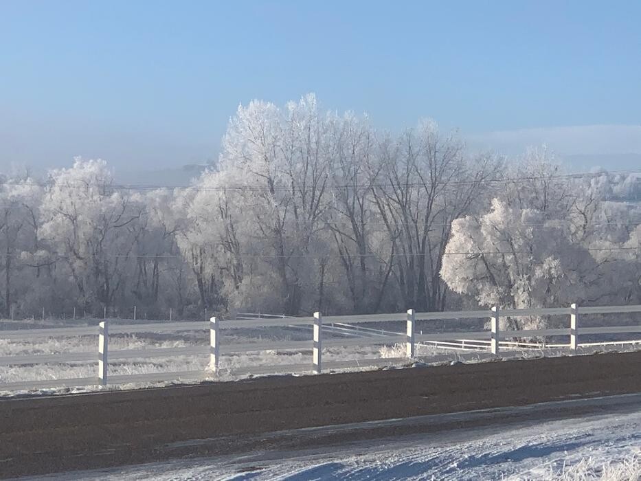 Images Associated Veterinary Services