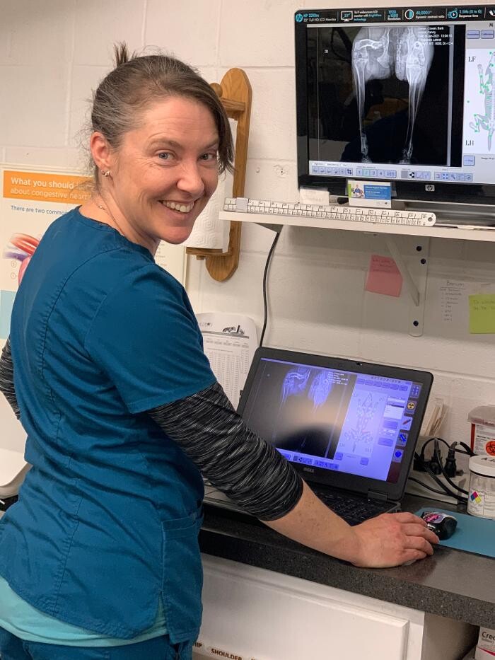 Images Associated Veterinary Services