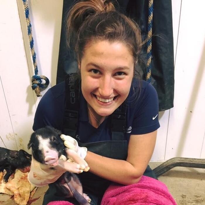 Images Associated Veterinary Services