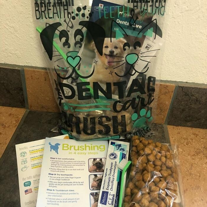 Images Associated Veterinary Services