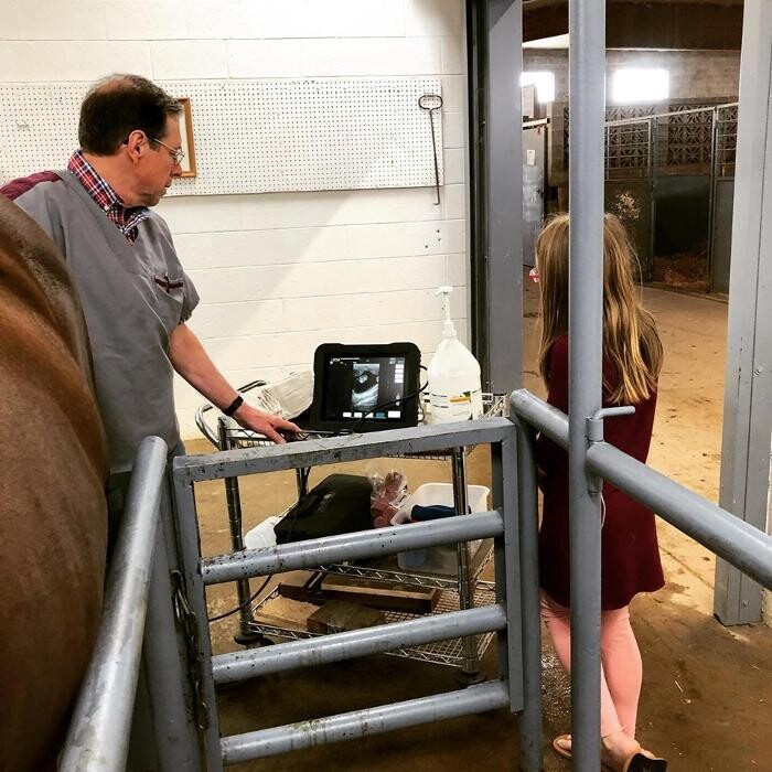 Images Associated Veterinary Services