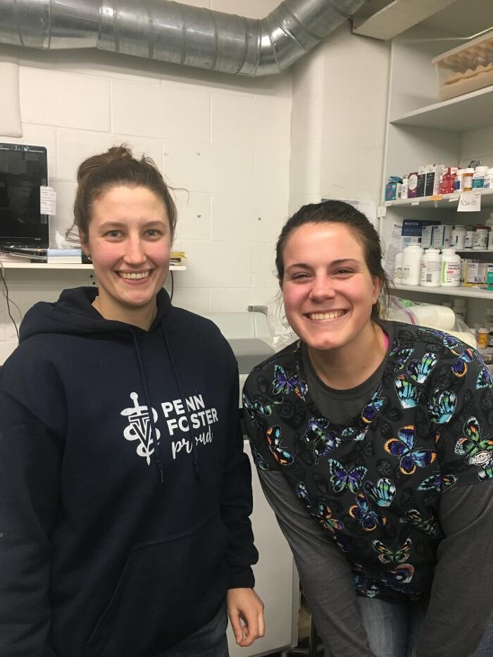 Images Associated Veterinary Services