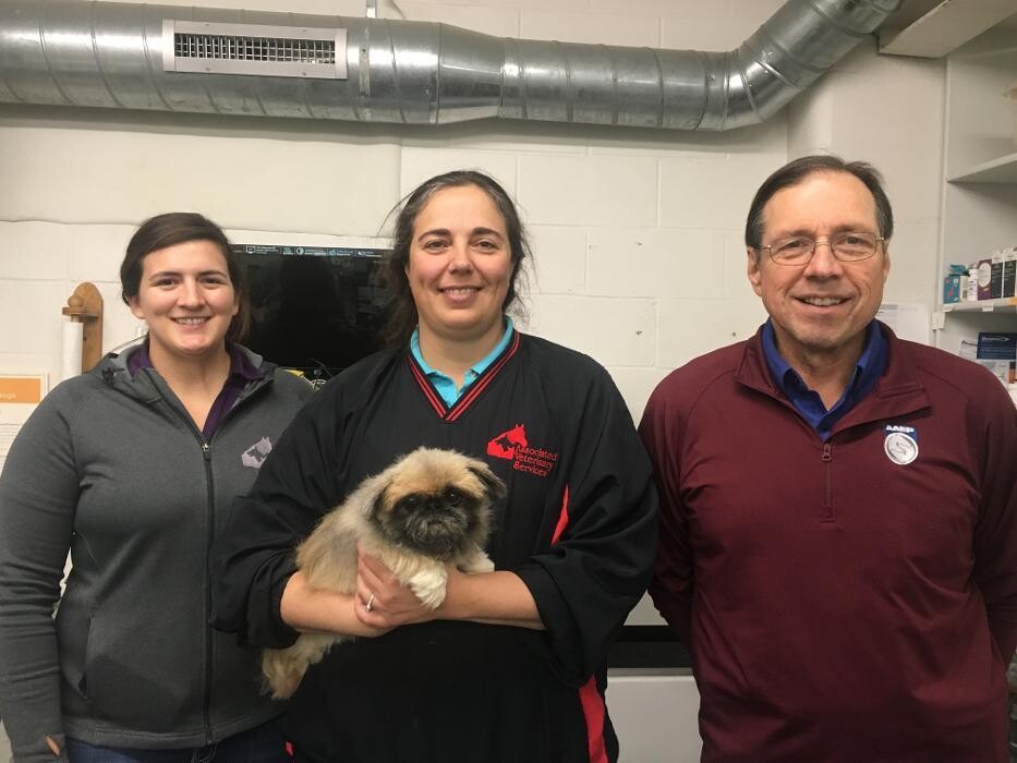 Images Associated Veterinary Services