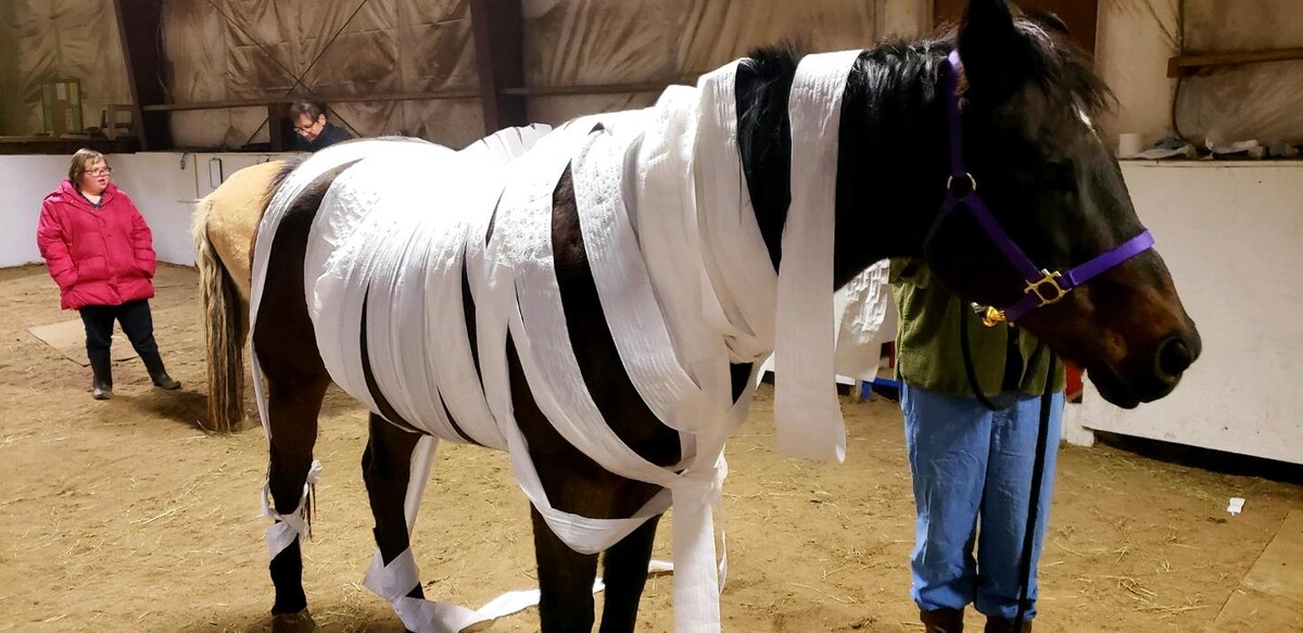 Images Associated Veterinary Services